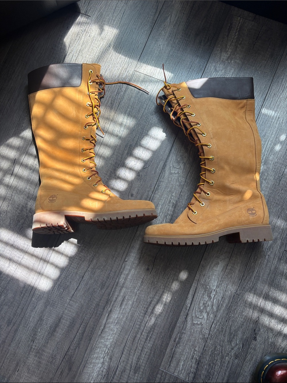 Timberland Women's Tall Lace-Up Boots in Wheat and Dark Brown Collar